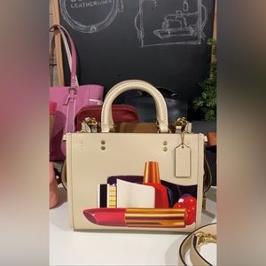 Coach X Tom Wesselmann Rogue 25
